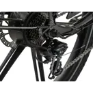 Cargobike SE Flex achterwielmotor bakfiets