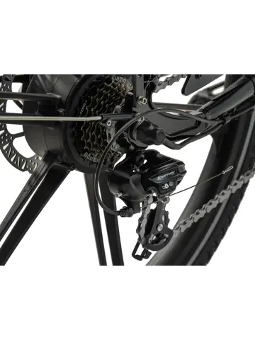 Cargobike SE Flex achterwielmotor bakfiets