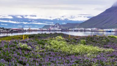 Iceland, Isafjordur