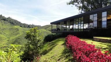 maleisie_west-maleisie_cameron-highlands_boh_theeplantage_theehuis_uitzicht_w