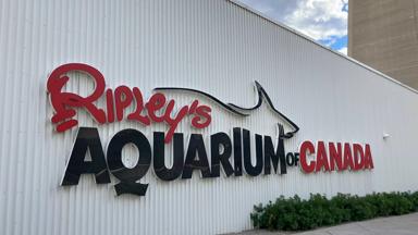 Ripley’s Aquarium of Canada  1