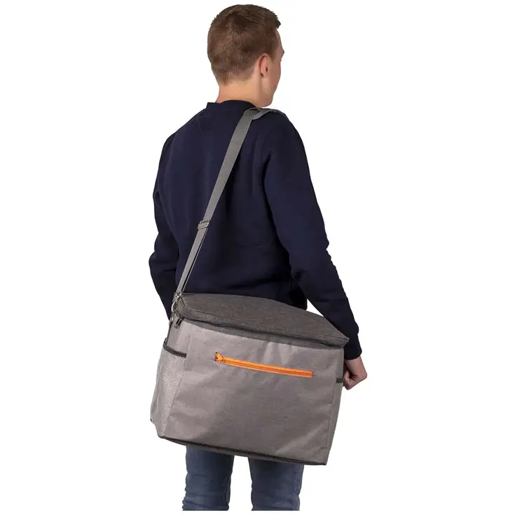 Koeltas Grijs 30 Liter