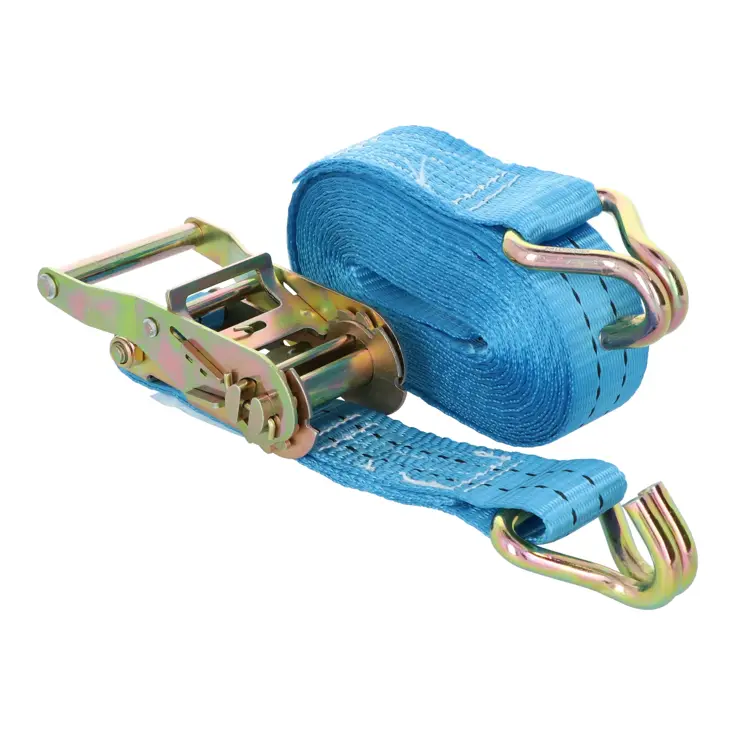 Carpoint Spanband met Ratel en Haken 5 Meter