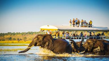 botswana_chobe-nationalpark_safari-met-boot_olifant_shutterstock_brochure2020_2