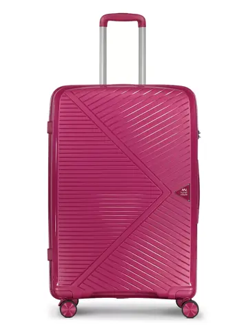 Dinan large - Koffer 91L - Human Nature