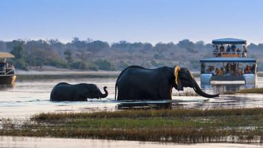 botswana_chobe-nationalpark_safari-met-boot_olifant_b_brochure2020_1