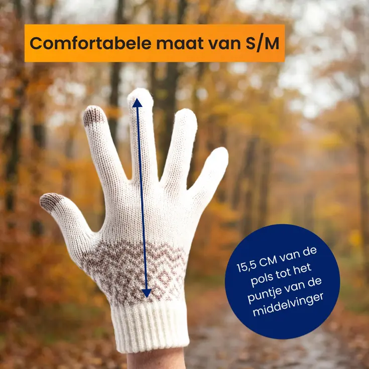 Touchscreen Handschoenen Winter - Wit