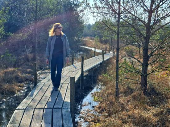 Dwingelderveld wandeling