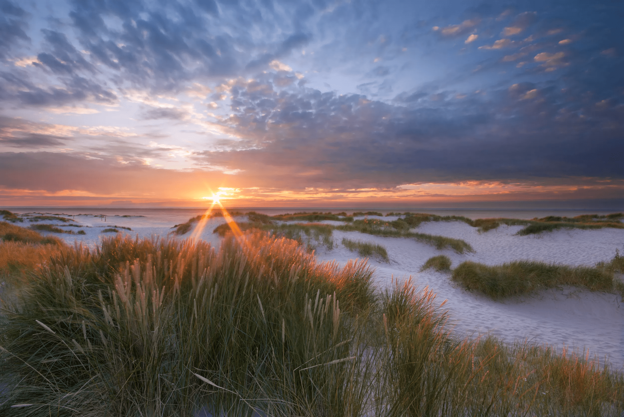 4 dagen Residence Terschelling