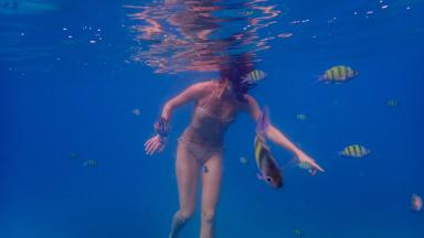 thailand_koh-phi-phi_snorkelen_w.jpg