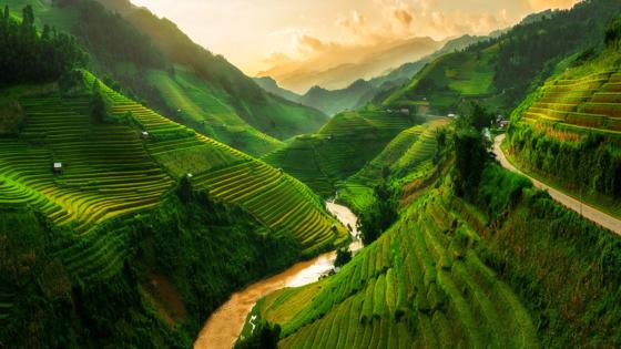 vietnam_lao-cai_sapa_rijstvelden_rivier_vallei_gebergte_hutjes_weg