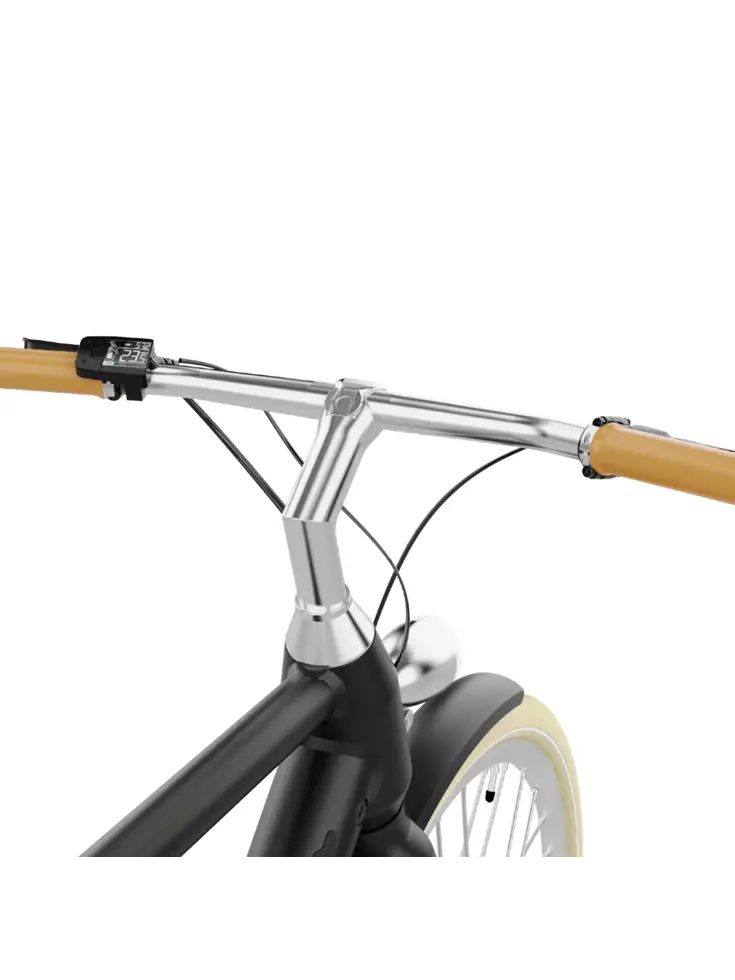 Dublin E-Bike Heren 59CM