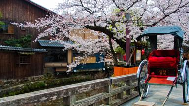 japan_honshu_kyoto_gion_straatbeeld_bloesem_loopkar_b