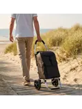 Boodschappenwagen 40L inklapbaar