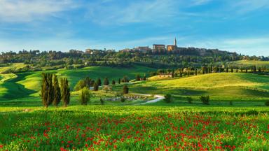 italie_toscane_pienza_val-dorcia_weg_klaproos_poppy_slingerweg_cipres_stad_kerk_getty