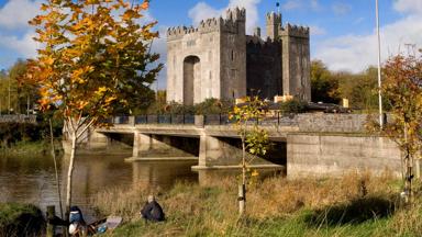 sfeer_ierland_clare_bunratty_castle_folk_park_banquet_tourism-ireland