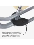 2-in-1 Loopfiets Driewieler met Duwstang