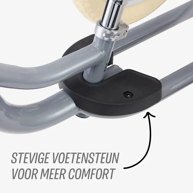 2-in-1 Loopfiets Driewieler met Duwstang
