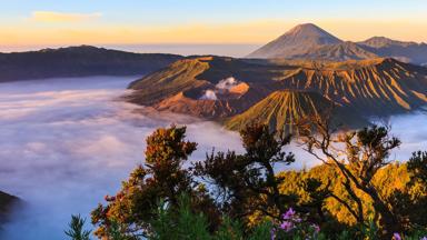 indonesie_java_bromo_landschap_vulkaan_b.jpg