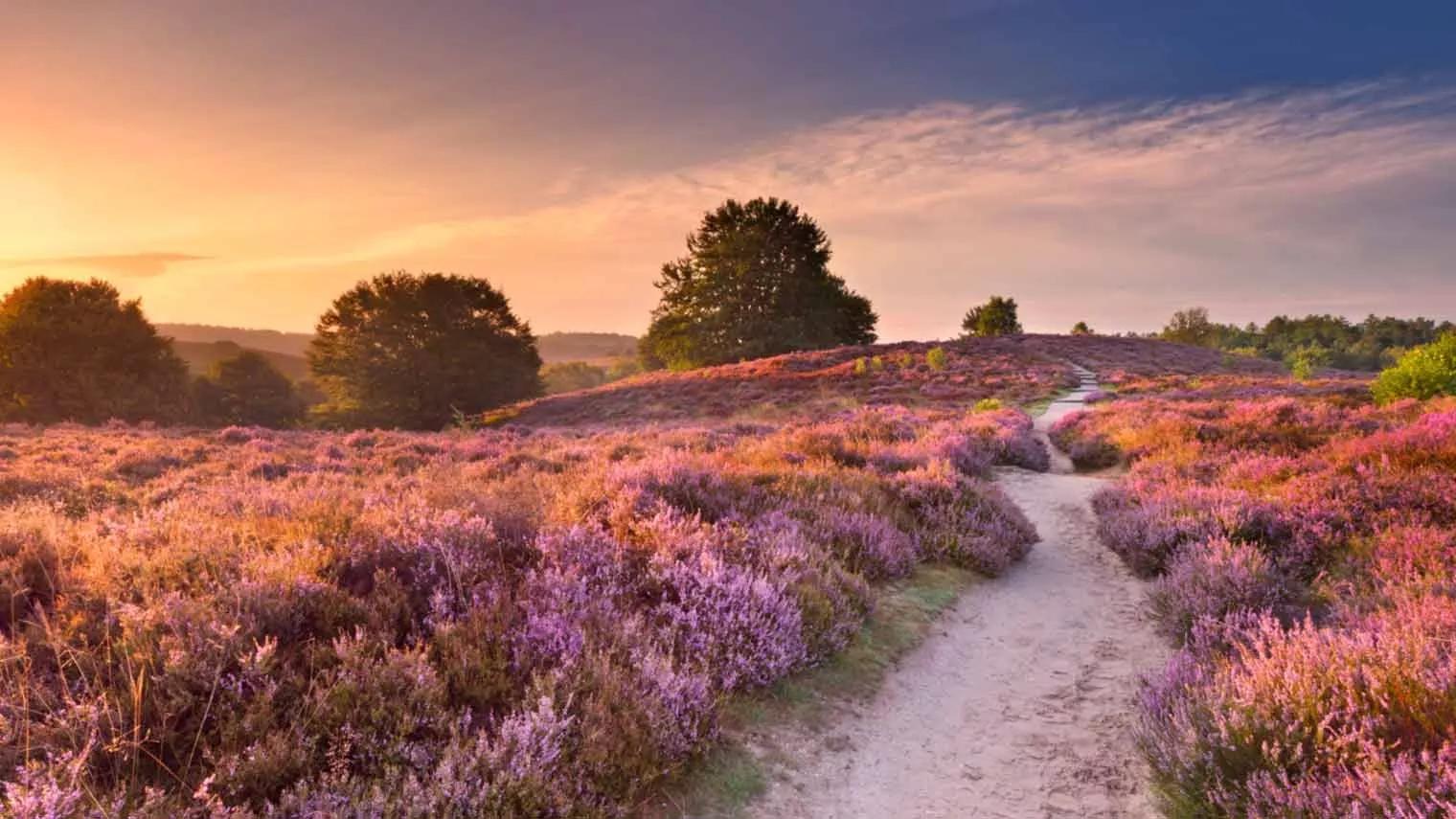 Nationaal Park De Veluwezoom | ANWB