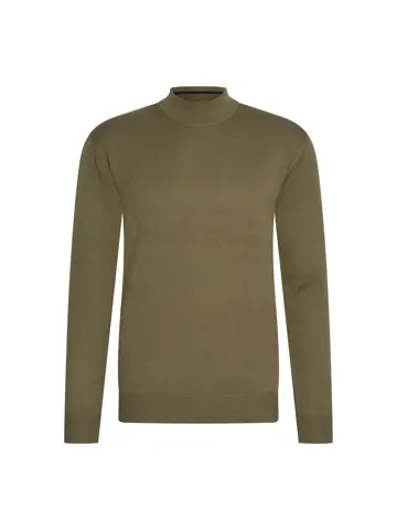 Heren turtle neck trui