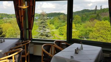 hotel_duitsland_brilon_hotel-am-kurpark_restaurant_2