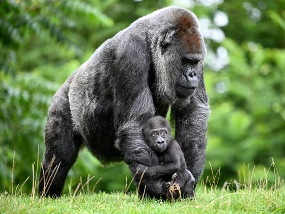 Impressie van GaiaZOO