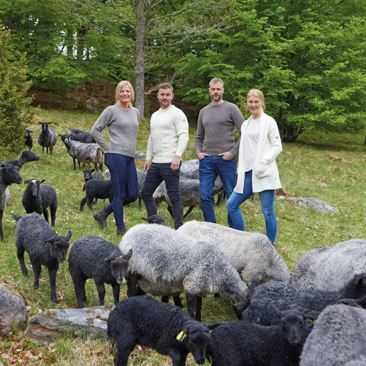 Trui heren NLS Petal