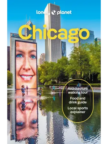 Reisgids Chicago 11
