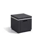 Allibert Ice Cube Koelbox - 42x42x41cm