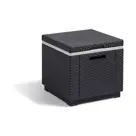 Allibert Ice Cube Koelbox - 42x42x41cm