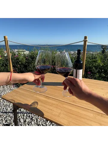 Camping wijnglazen – 4 stuks – onbreekbaar