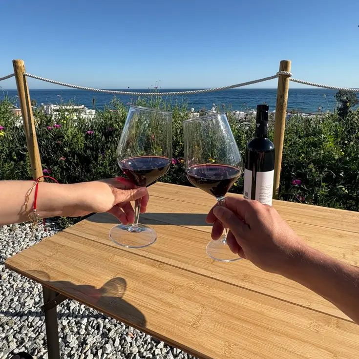 Camping wijnglazen – 2 stuks – onbreekbaar