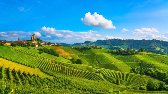 italie_piemonte-langhe-wijngaarden-alba_wijn_heuvels_dorp_shutterstock