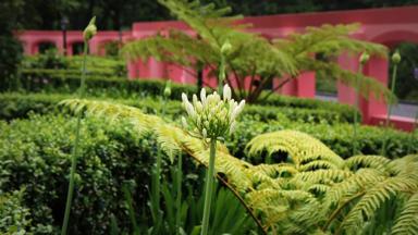 hotel_portugal_madeirafunchal_quinta da serra_tuin_a