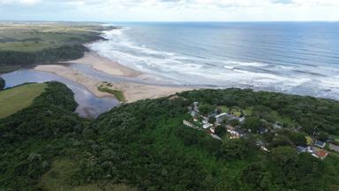 Fox_zuid-afrika_oost-kaap_trennerys-wild-coast_strand_uitkijkpunt_janneke-kaim-naturescanner
