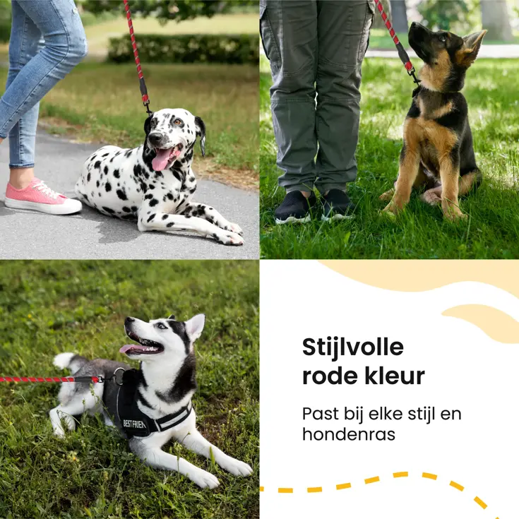 Reflecterende Hondenriem 3m