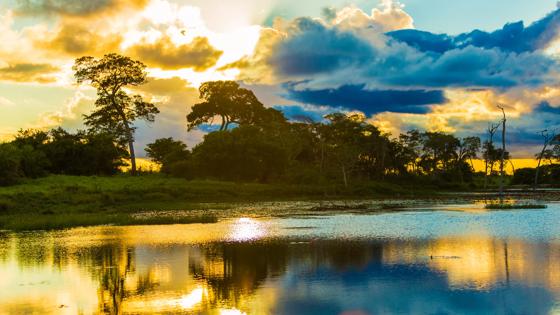 brazilie_pantanal_zonsondergang_b.jpg