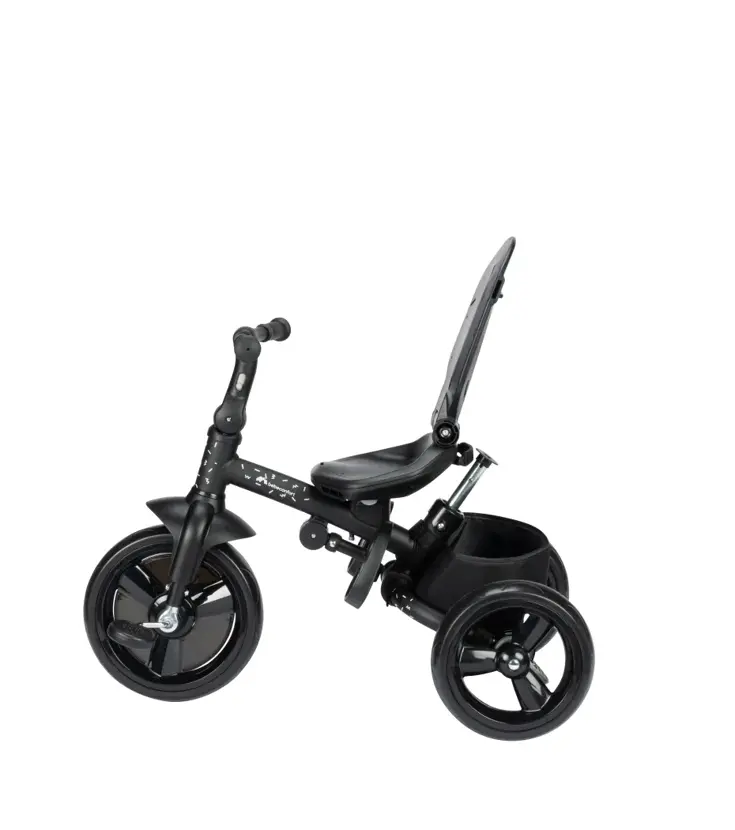 Windy kinderwagen - 2-in-1 driewieler