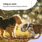 Reflecterende Hondenriem 3m