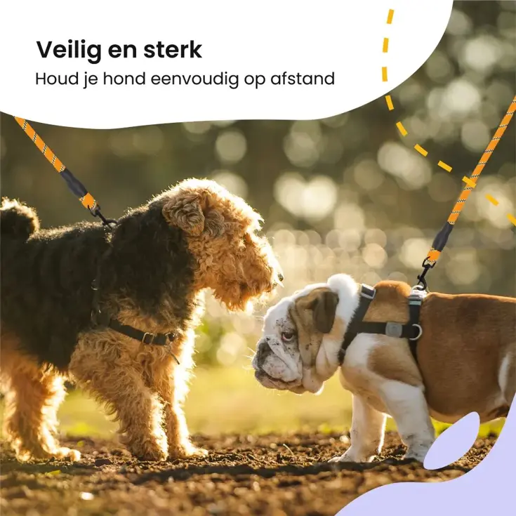 Reflecterende Hondenriem 3m