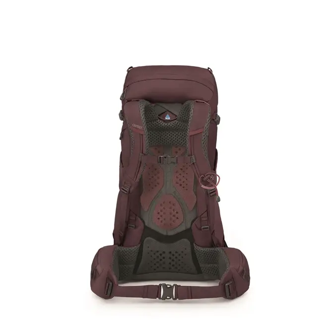 Osprey Kyte 38 WXS/S elderberry purple