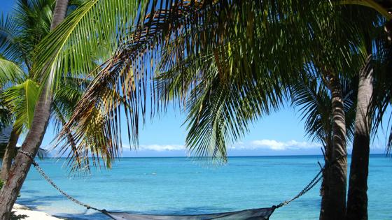 mexico_strand_palmboom_b.jpg