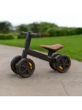 Dex Luxe Loopfiets - Tot 20 kg - 2-5 jaar