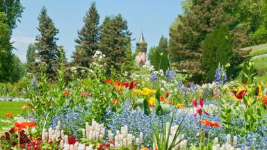 duitsland_baden-wurttemberg_konstanz_bodensee_mainau-eiland_bloemen_getty