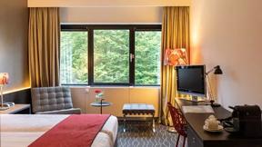 hotel_nederland_noord-brabant_sint michielsgestel_hotel de ruwenberg_comfort kamer_h