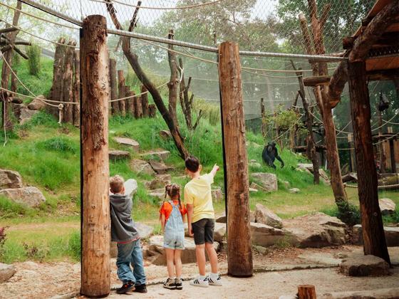 Impressie van DierenPark Amersfoort