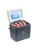 Koelbox - Lunchbox - 13L