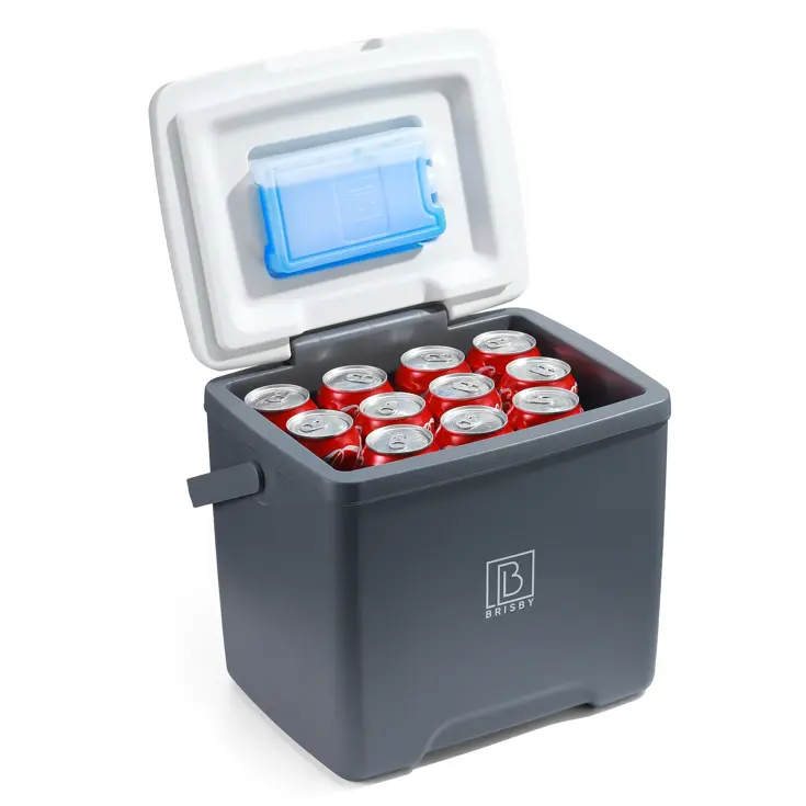 Brisby - Koelbox - 13L