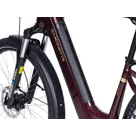 Deluxe SUVEasy ebike midmotor